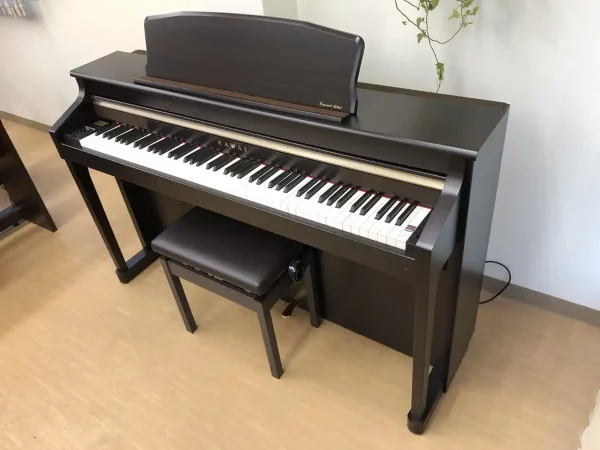 Piano Điện Kawai CA9500GP